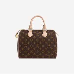LOUIS VUITTON スピーディ 25 Ref:M41109